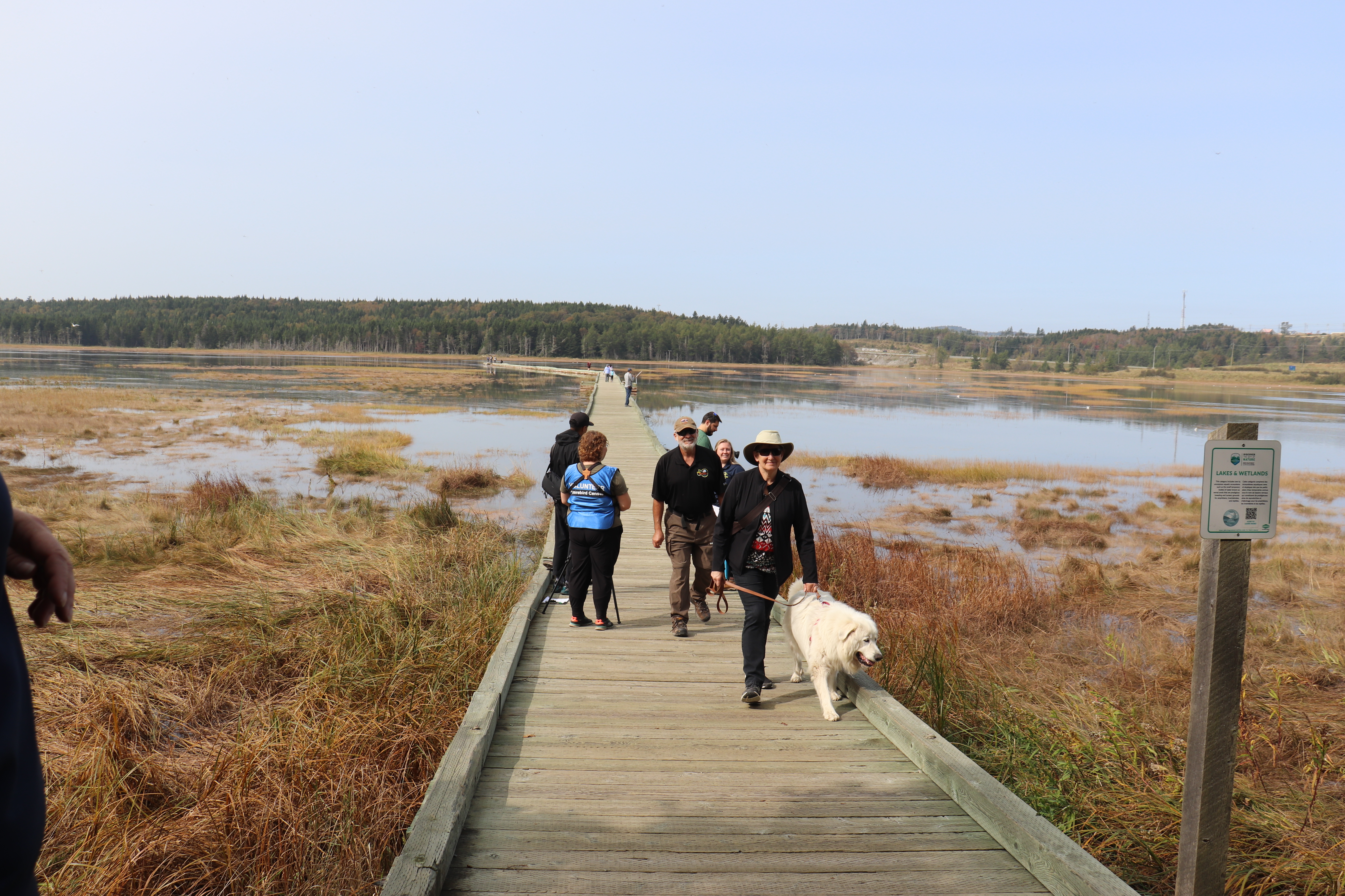 Treasured wetland photo 3