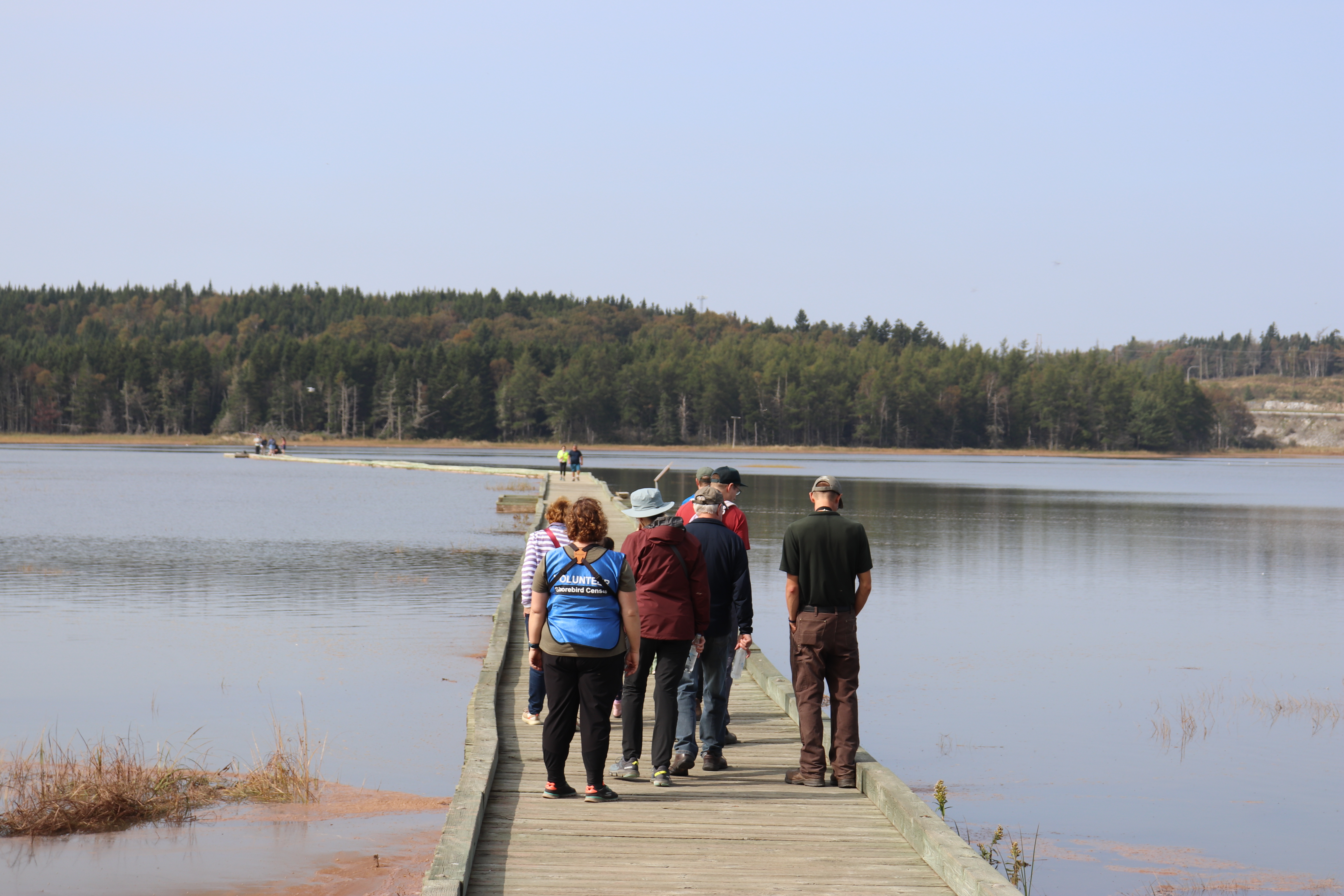 Treasured Wetland photo 4