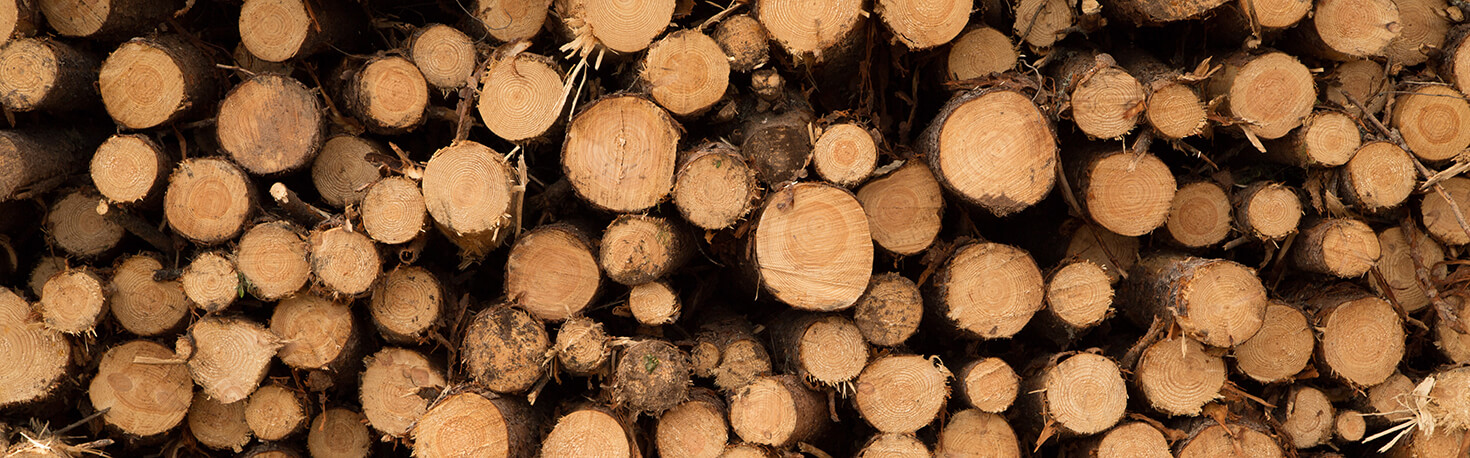 Softwood_Pile_Compressed